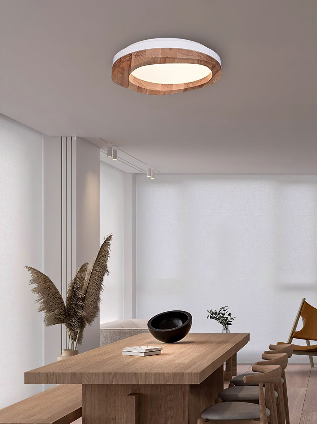Arboro Circle Ceiling Light
