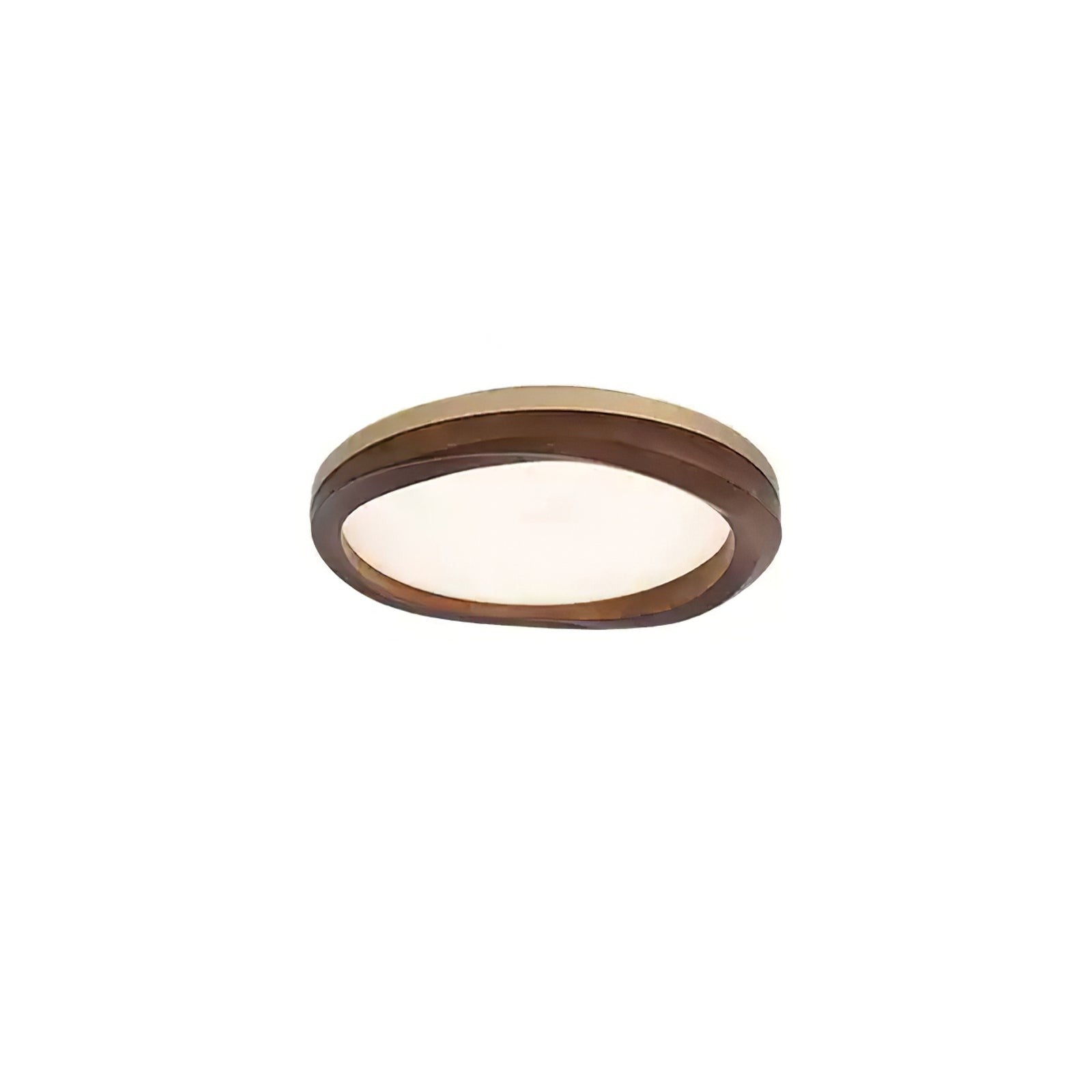 Arboro Circle Ceiling Light