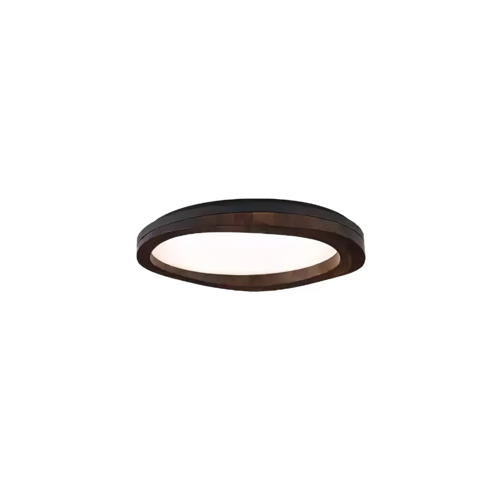 Arboro Circle Ceiling Light