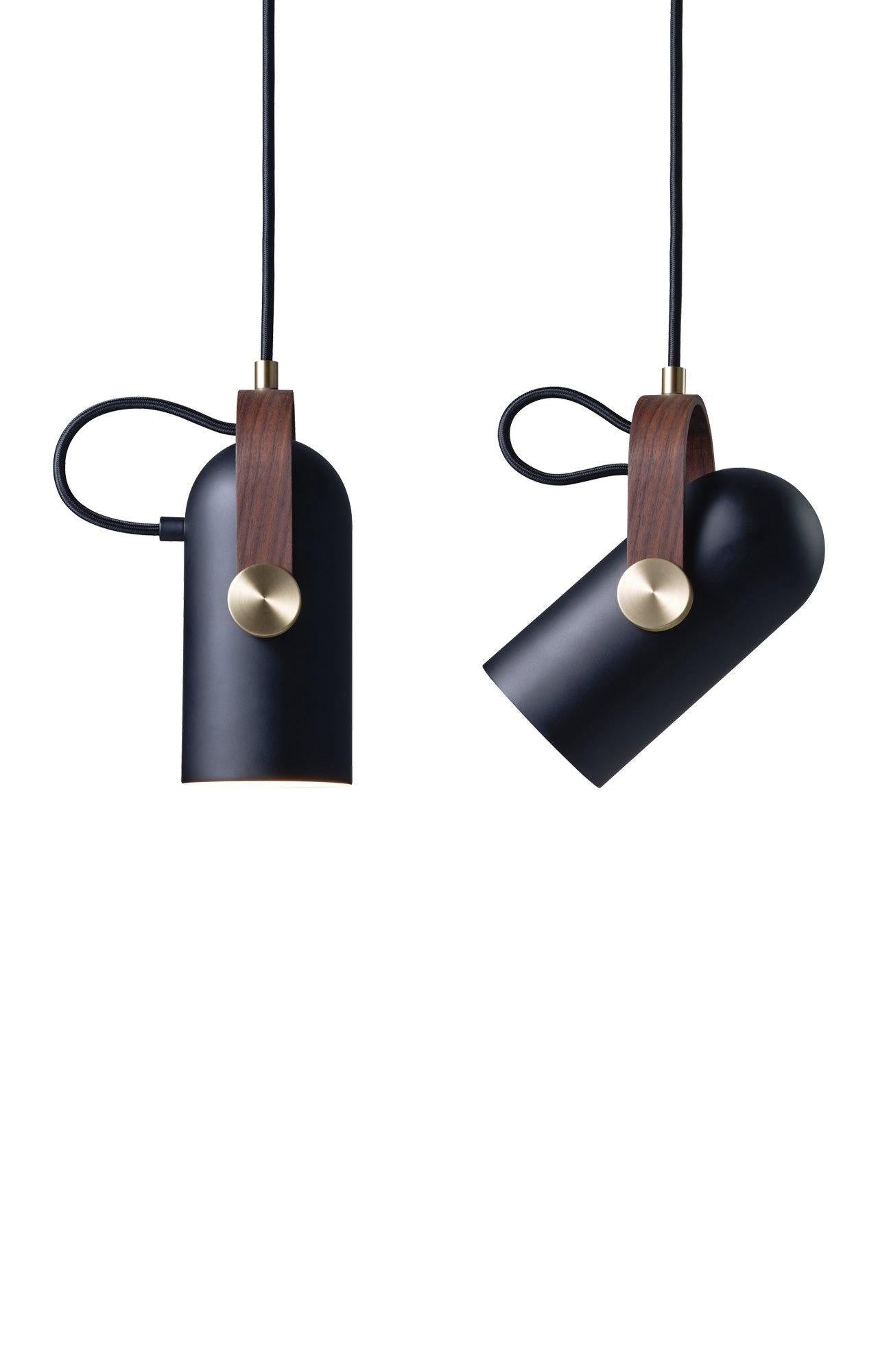 Vantara Swivel Pendant Light