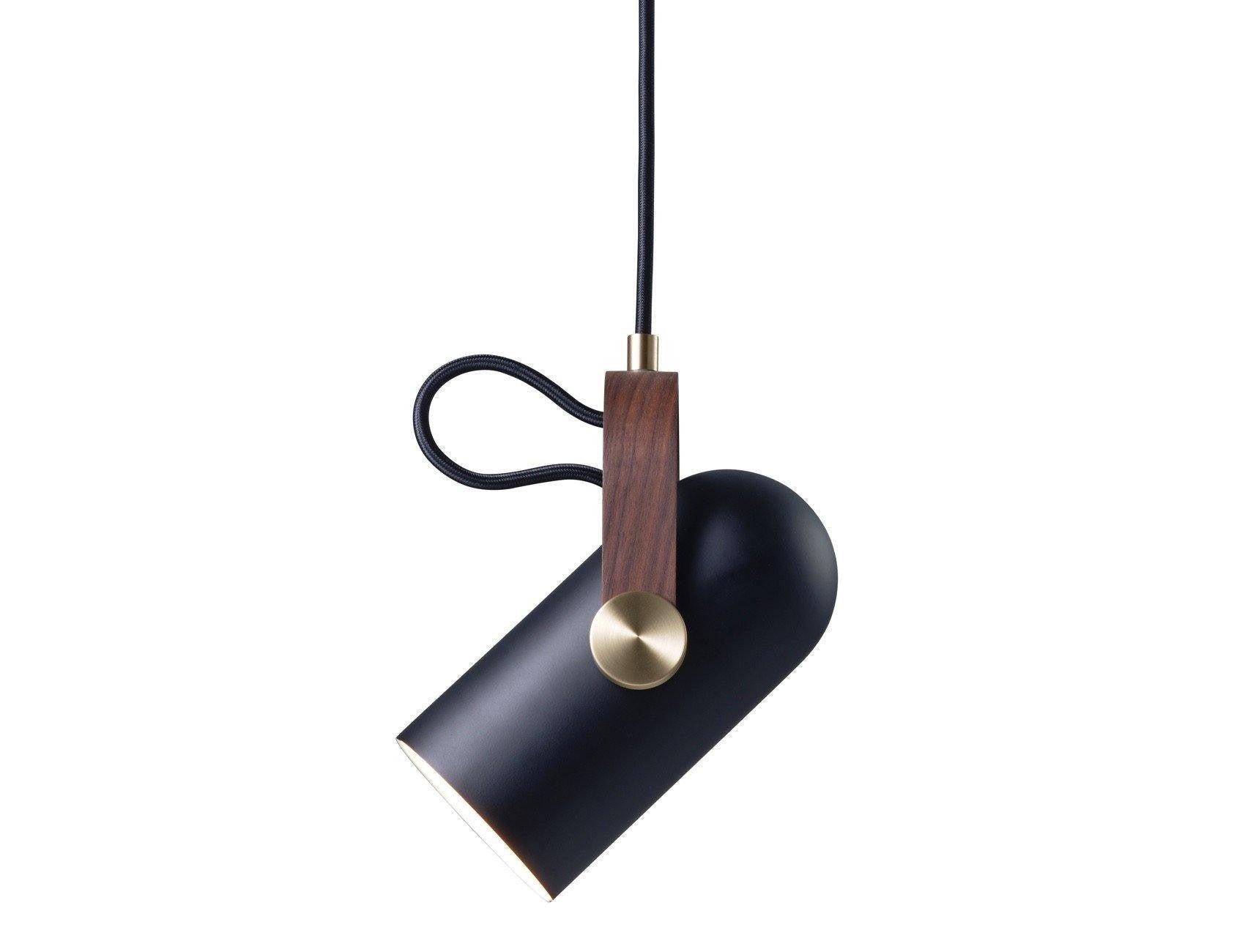 Vantara Swivel Pendant Light