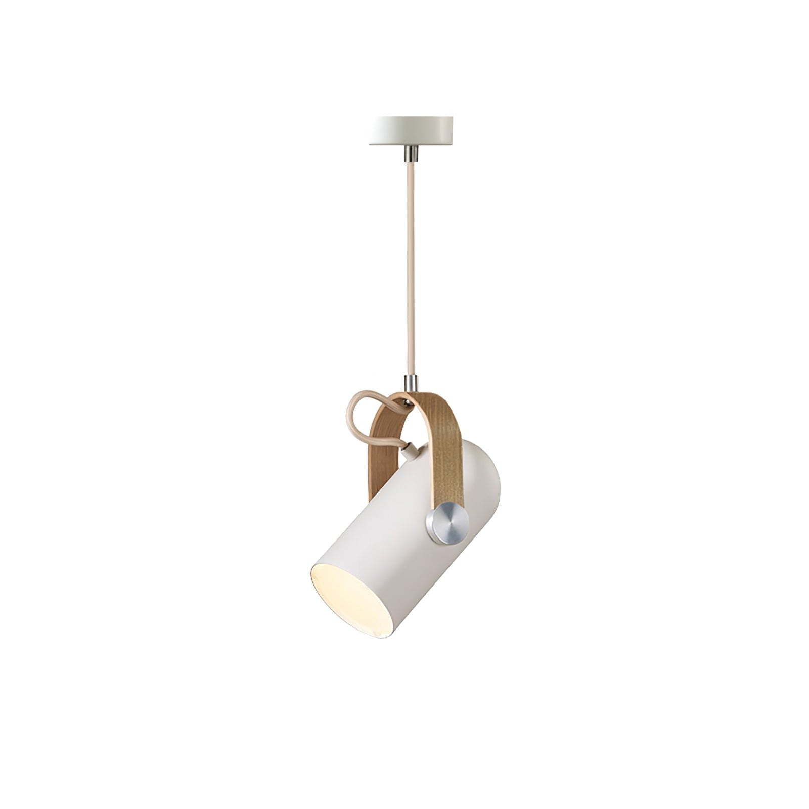 Vantara Swivel Pendant Light